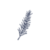 Romarin.png