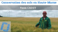 Vignette pour la version du 26 février 2021 à 18:07