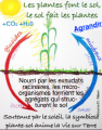 Vignette pour la version du 20 juillet 2021 à 12:35