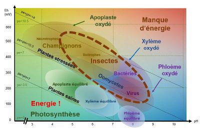 Redox Couverture.jpg