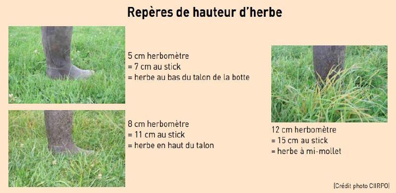 Fichier:Herbometre Reperes.jpg