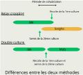Vignette pour la version du 18 janvier 2024 à 10:32