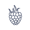 Framboise.png