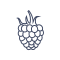 Fichier:Framboise.png