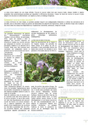 page suivante →