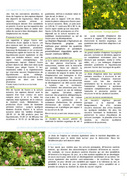 page suivante →
