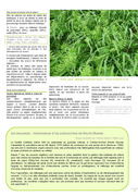 page suivante →