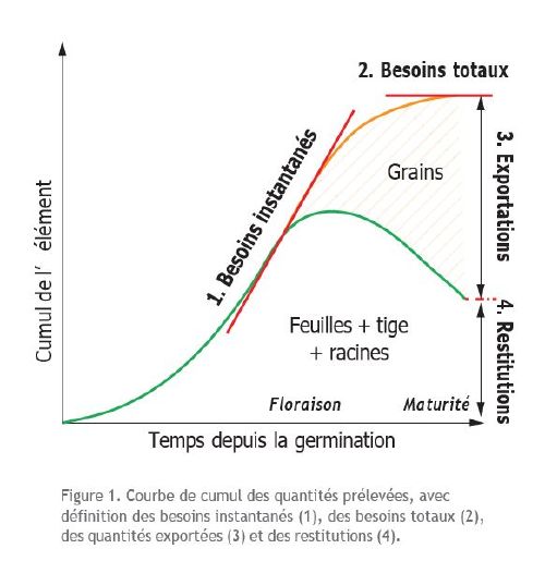 Cumulelement.jpg