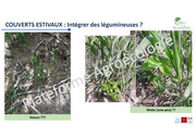 page suivante →