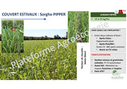 page suivante →