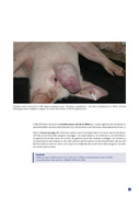 page suivante →