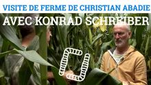 Thumbnail youtube NHV3kEO5iVM.jpg