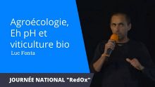 Thumbnail youtube scI OZxDZ6M.jpg