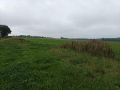 Bandes fleuries