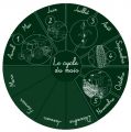 Vignette pour la version du 2 octobre 2020 à 16:14