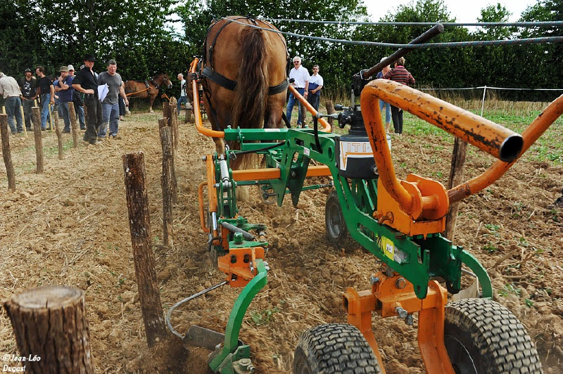 Fichier:Percheron outil.png