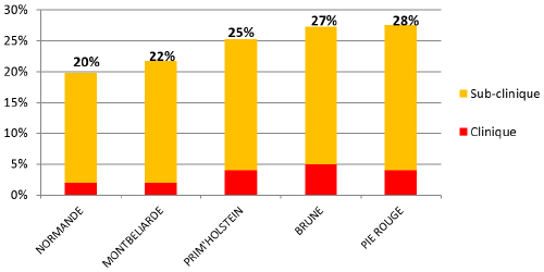 Ce graphique représente la proportion des vaches en situation d'acétonémie, parmi toutes celles testées, selon leur race. Étude Acétonémie, EILYPS 2013-2014, 1 252 975 échantillons - vaches < 100j de lactation.