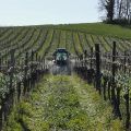 Vignette pour la version du 16 avril 2021 à 11:36