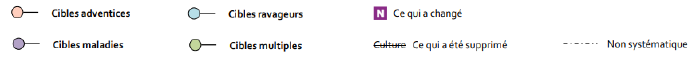 Sorin LegendeStrategie.png