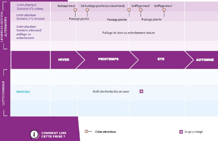 Clape Stratégie.jpg