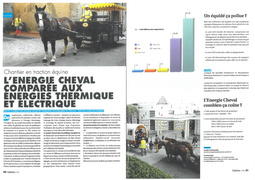 L'énergie cheval comparée aux énergies thermique et électrique : le cas des plages.