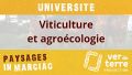 Vignette pour la version du 26 février 2021 à 18:09