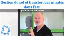 Thumbnail youtube WvPnGoIrZNo.jpg
