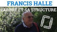 Thumbnail youtube 0PI1k1KZs7k.jpg