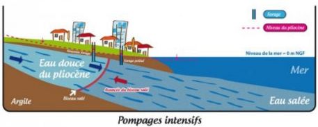 Position du biseau salé (limite entre l'eau douce et l'eau salée) dans le cas de prélèvements importants.