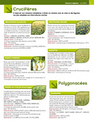 page suivante →