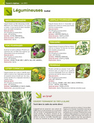 page suivante →