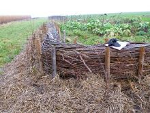 Thuin nov2014 web.jpg