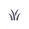 Miscanthus.png
