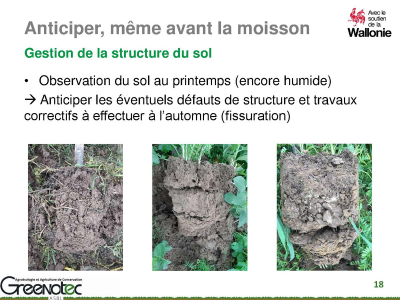 Fichier:Couvert d'interculture et reliquats azotées en entrée hiver, Simon Dierickx.pdf