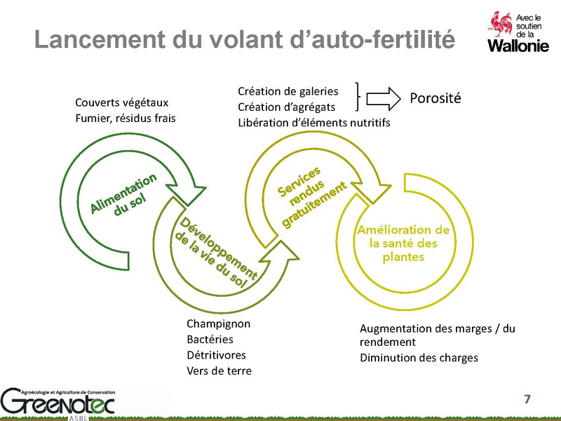 Fichier:Couvert d'interculture et reliquats azotées en entrée hiver, Simon Dierickx.pdf