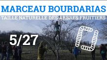 Thumbnail youtube 8U6d84NIs-M.jpg
