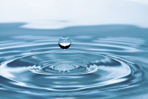 eau anti limaces