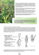 page suivante →