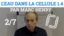 Thumbnail youtube 1H1DS95qMnU.jpg