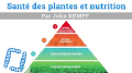 Vignette pour la version du 26 février 2021 à 18:04
