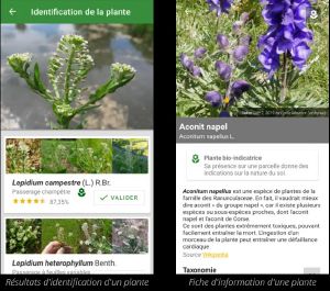 Soildiag Identification.jpg