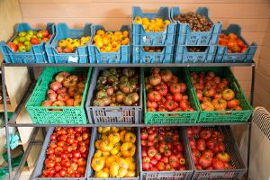 Tomate Stockage.jpg