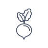 Radis.png