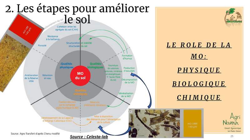 Fichier:Gestion des prairies et restauration du sol, Etienne Gauthier.pdf