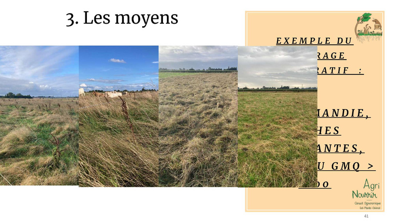 Fichier:Gestion des prairies et restauration du sol, Etienne Gauthier.pdf