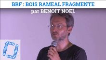 Thumbnail youtube 7CVWje qSjU.jpg