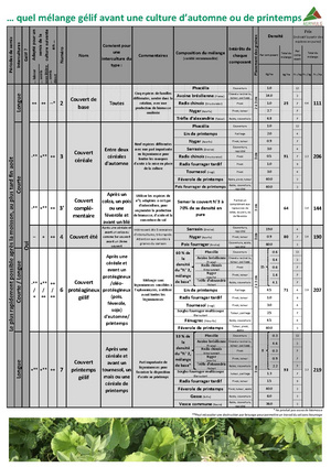 Fichier:Guide couverts végétaux 2019 neo.pdf