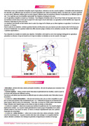 page suivante →