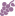 Cépage rosé.png
