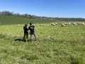 Vignette pour la version du 21 avril 2023 à 07:47